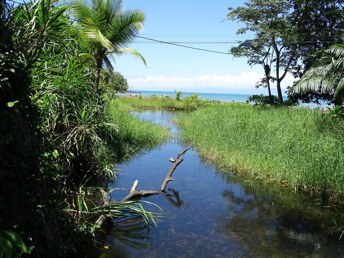 Hostel Osa Tucan Drake Drake Bay Ngoại thất bức ảnh