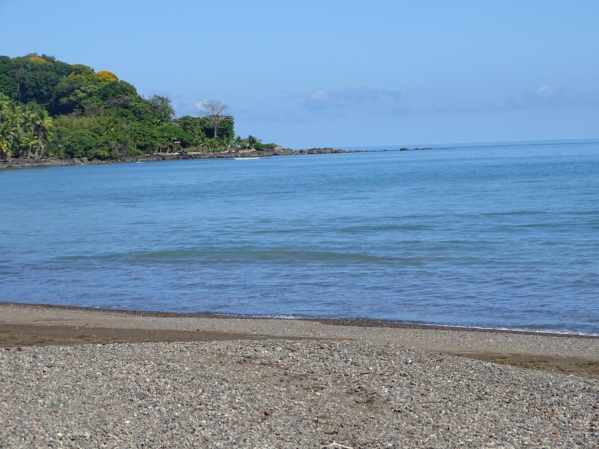 Hostel Osa Tucan Drake Drake Bay Ngoại thất bức ảnh