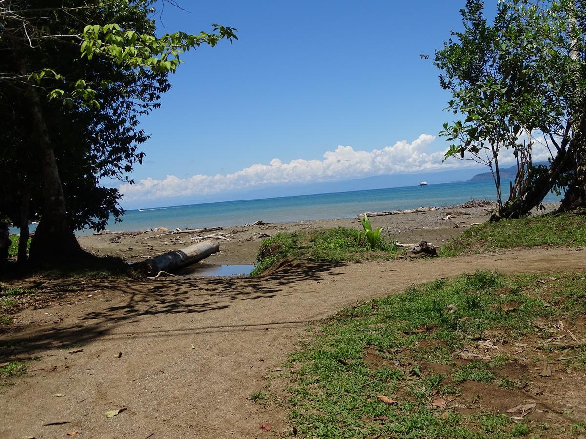Hostel Osa Tucan Drake Drake Bay Ngoại thất bức ảnh