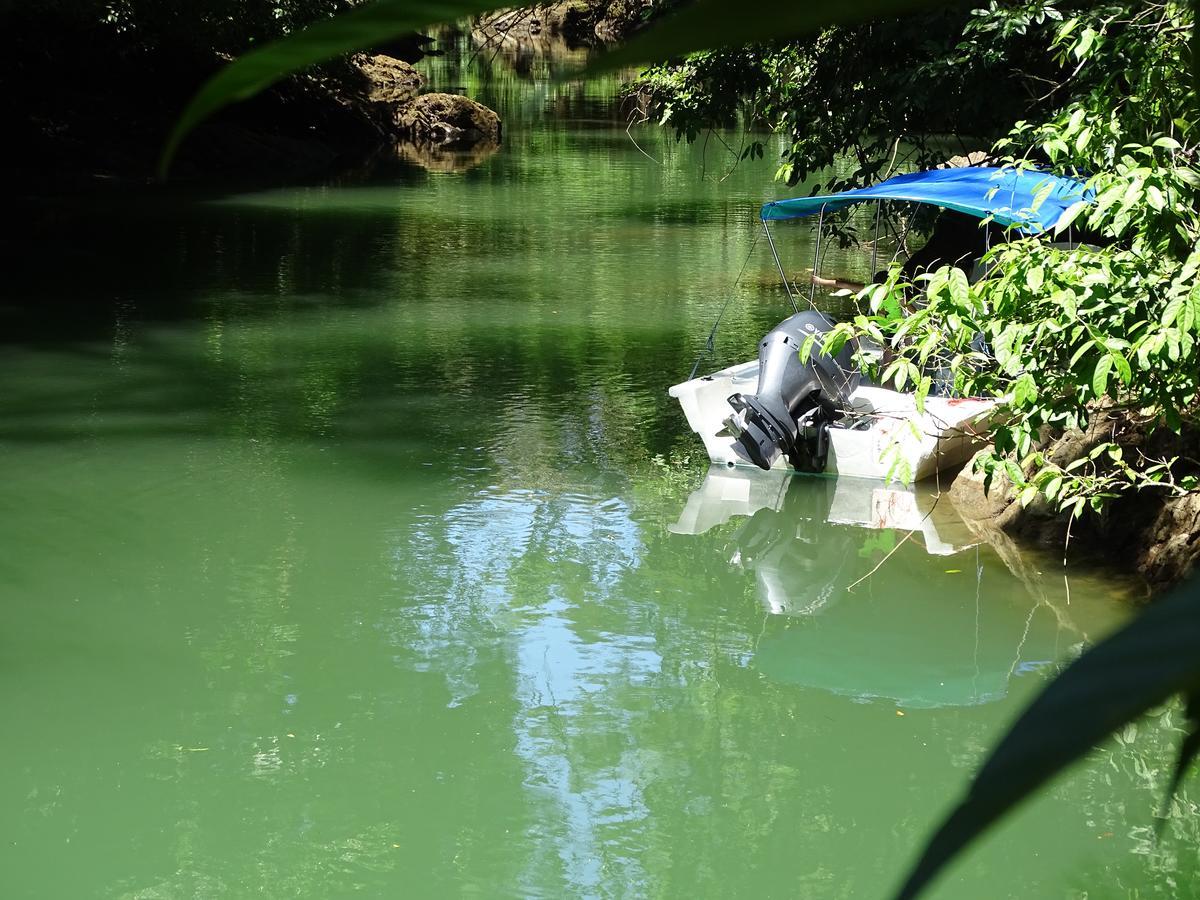 Hostel Osa Tucan Drake Drake Bay Ngoại thất bức ảnh