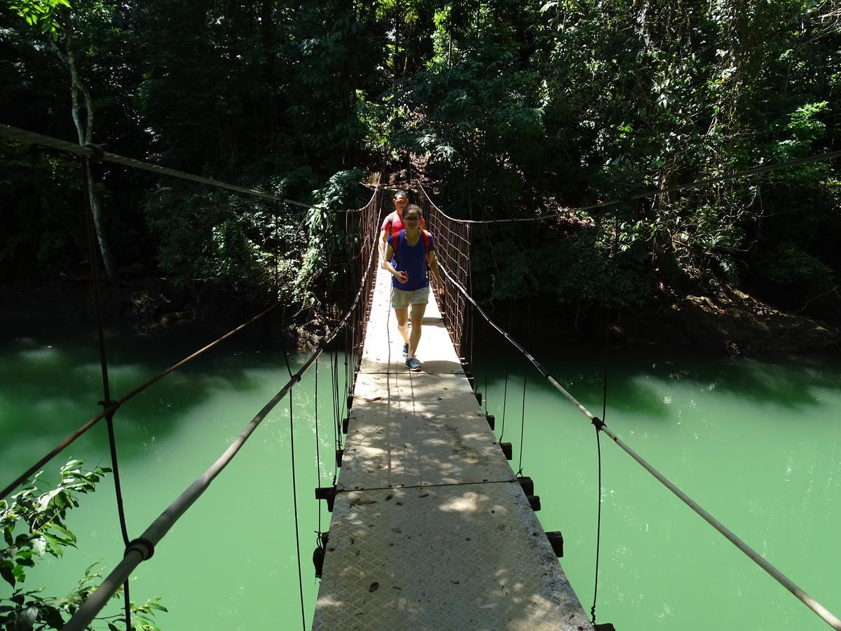 Hostel Osa Tucan Drake Drake Bay Ngoại thất bức ảnh