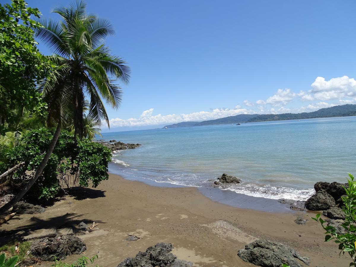 Hostel Osa Tucan Drake Drake Bay Ngoại thất bức ảnh