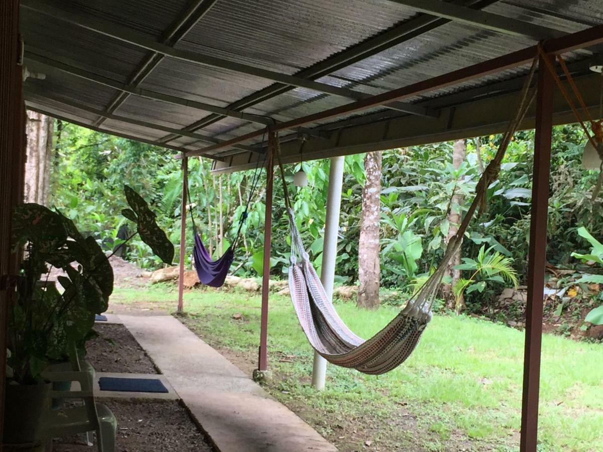 Hostel Osa Tucan Drake Drake Bay Ngoại thất bức ảnh